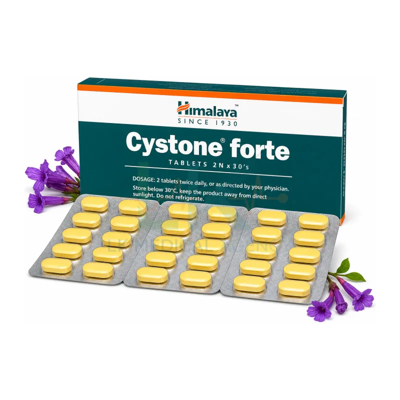 Cystone Forte 30 Tablets